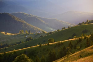 Poszukujesz komfortu podczas długich sesji? Oto dlaczego Wentylowane krzesła gamingowe to must-have dla każdego gracza!