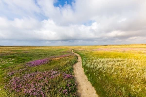 Wentylowane vs. tradycyjne krzesła gamingowe — co wybrać?